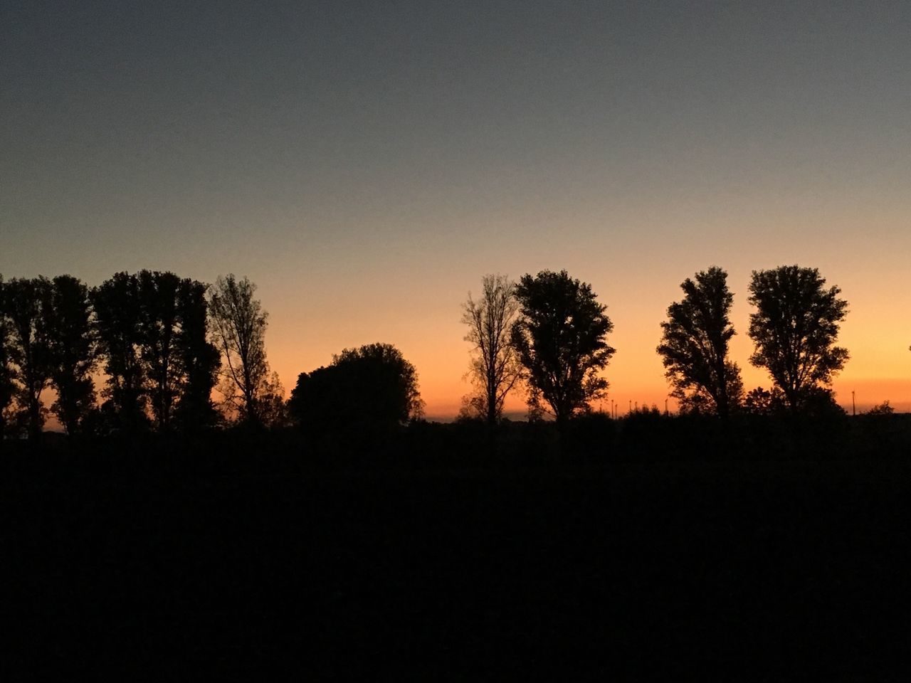 SCENIC VIEW OF SILHOUETTE TREES AGAINST SKY DURING SUNSET