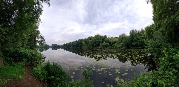 Panoramic shot of trees on landscape against sky