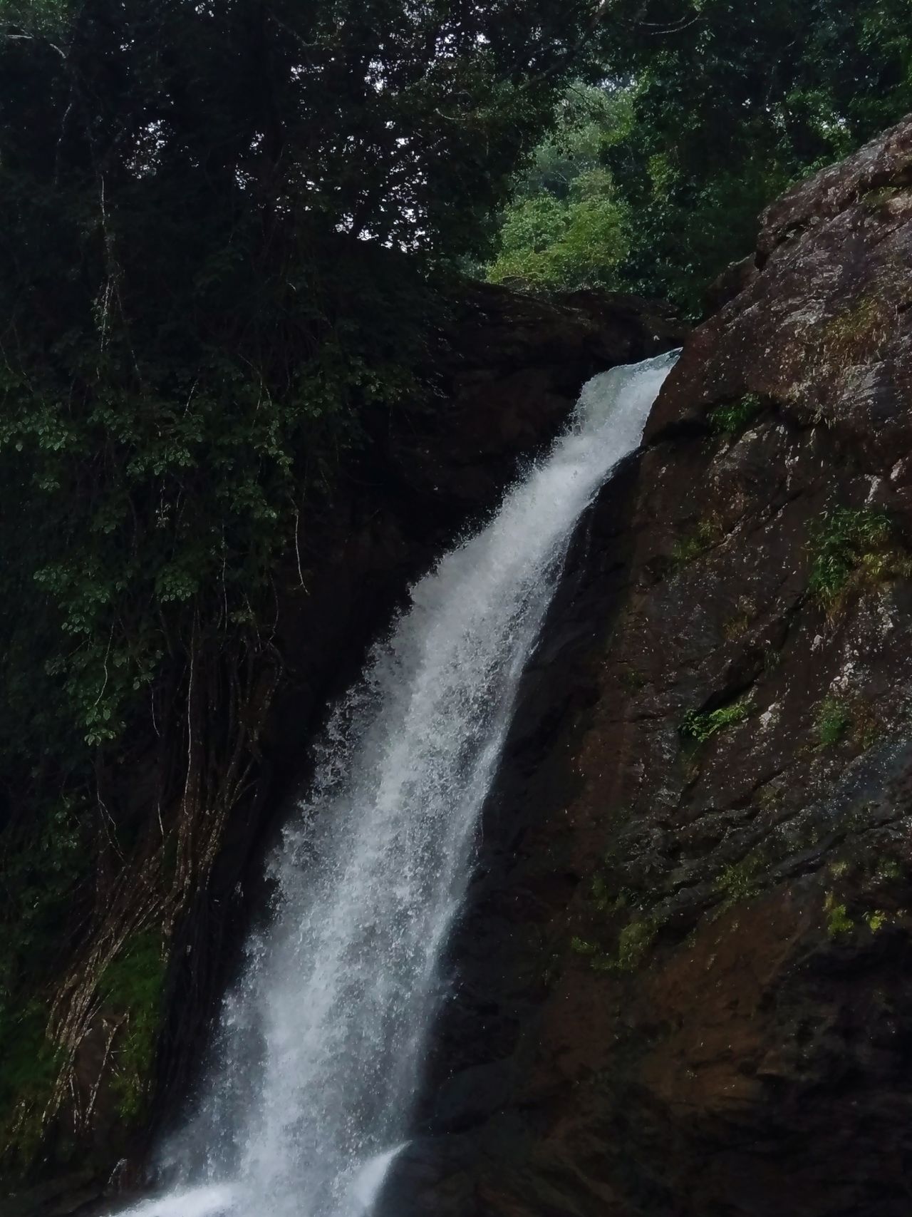 Soojipara Waterfalls Parking