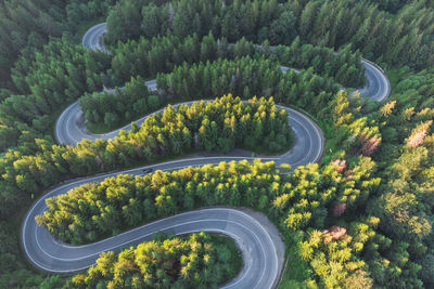 High angle view of winding road amidst trees