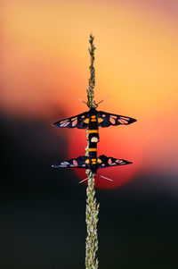 Close-up of communications tower against sky during sunset