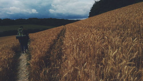 Rear view of woman walking on field against sky