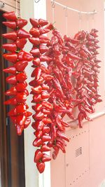 Close-up of red chili peppers hanging against wall