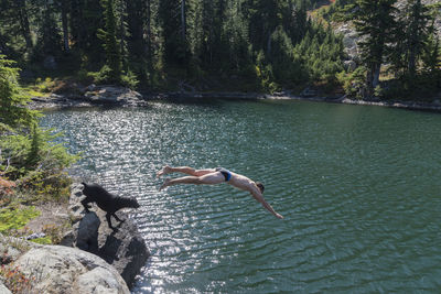 High angle view of man diving into lake at forest