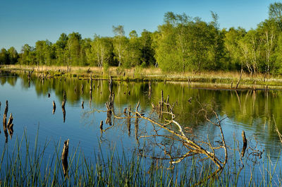 Scenic view of lake by trees against sky