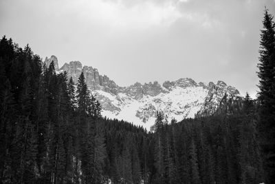 Panoramic view of trees and mountains against sky