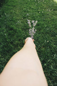 Low section of woman legs on grass