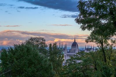 Trees against hungarian parliament building during sunset