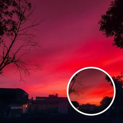 Silhouette trees against sky during sunset