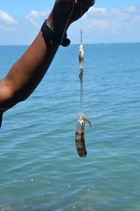 Cropped hand of man holding squid against sea