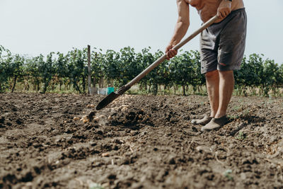 Portrait of a man digging potatoes in a vegetable garden.