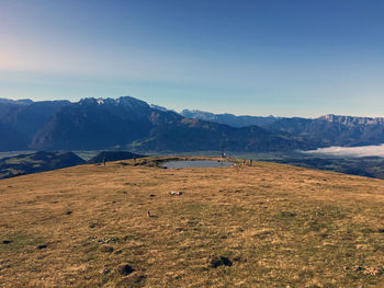 Scenic view of field against clear sky