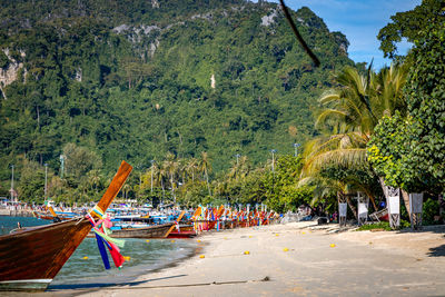 Boats moored on sea against trees