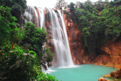 Scenic view of waterfall in forest