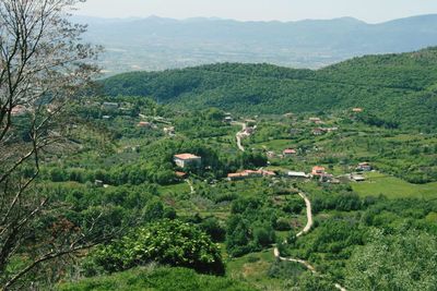 High angle view of agricultural field