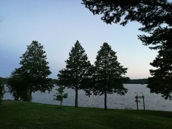 Trees by lake against clear sky