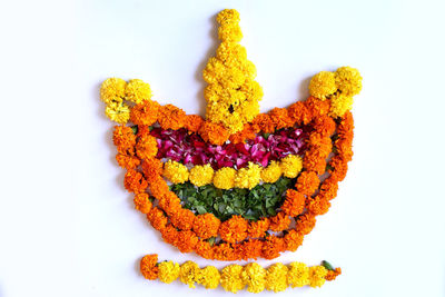 Close-up of multi colored flowers against white background