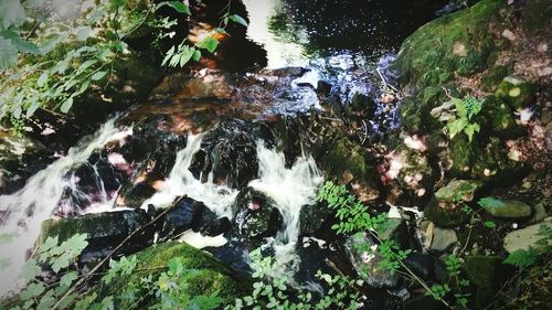 Stream flowing through rocks