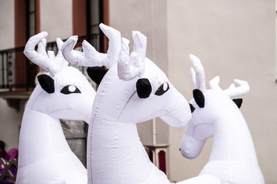 Reindeers of the three kings day parade