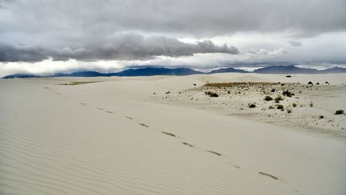 Scenic view of desert against sky