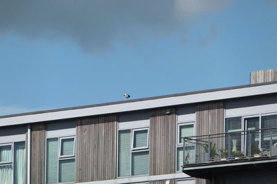 Low angle view of bird perching on window