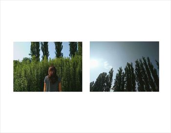 Woman standing by plants against clear sky