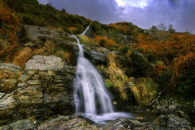 Scenic view of waterfall in forest