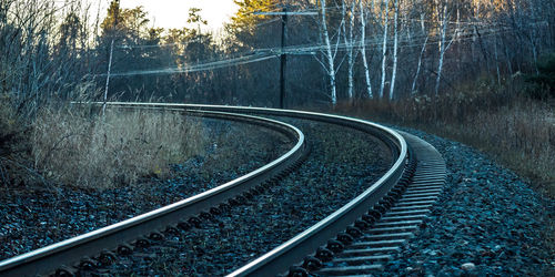 Railroad tracks amidst trees