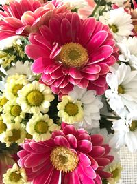 Close-up of multi colored flowers