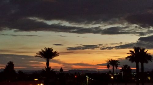 Silhouette of palm trees against cloudy sky