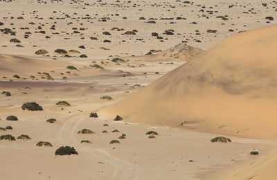 High angle view of sand dune at namib desert