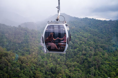 Overhead cable cars in forest against sky