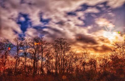 Silhouette trees on field against sky at sunset