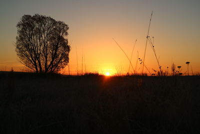 Silhouette bare trees on field against sky during sunset