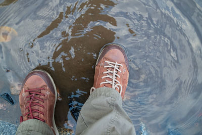 Low section of person standing in water