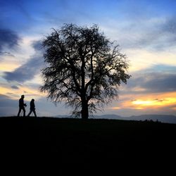 Silhouette of person standing on field at sunset