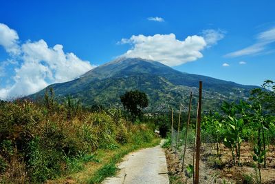 Scenic view of landscape against sky