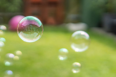 Close-up of bubbles