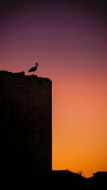 Silhouette of bird flying against sunset sky