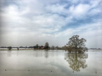 Reflection of trees in water against sky