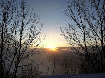 Silhouette bare tree against sky during sunset