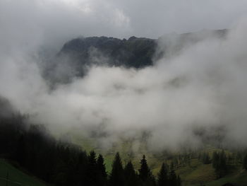 Scenic view of forest against sky during foggy weather