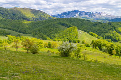 Scenic view of field and mountains against sky