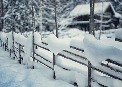 Snow covered land and trees on field