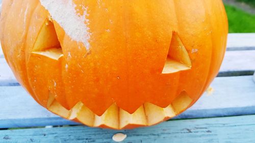 Close-up view of pumpkin and orange leaf