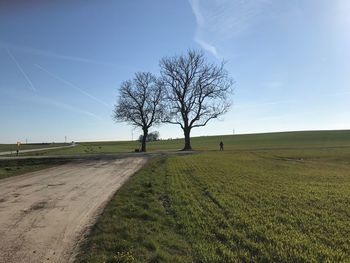 Bare tree on landscape against clear sky