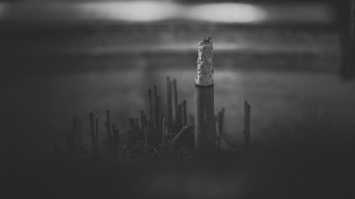 Wooden posts on landscape against sky