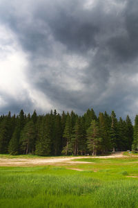 Scenic view of field against sky