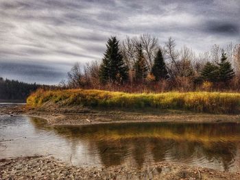 Scenic view of lake in forest against sky