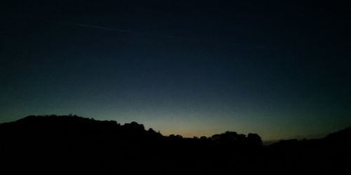 Low angle view of silhouette trees against clear sky at night